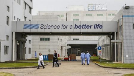 Çin’in Jiangsu Eyaleti 2022’de Geniş Çaplı Yabancı Yatırım Çekti