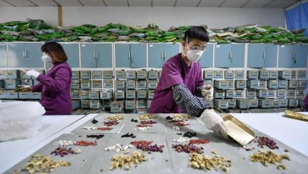 Klâsik Çin Tıbbı Sayımında 163 Yeni Bitki Çeşidi Tespit Edildi